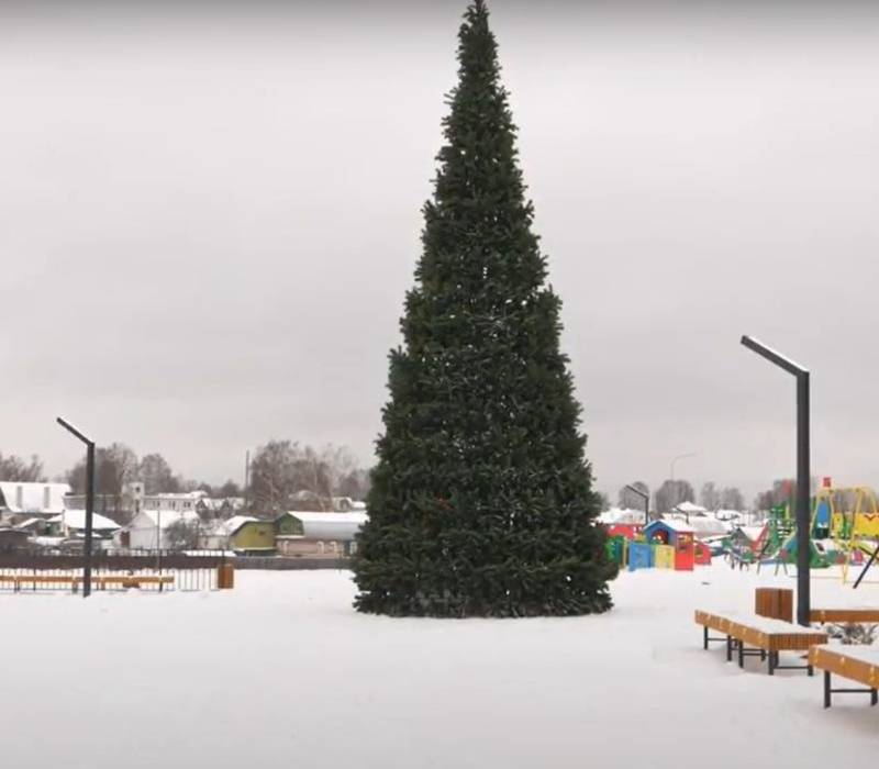 11-метровую новогоднюю ель установили в Выксе на благоустроенном по нацпроекту «Жилье и городская среда» Межонском пруду