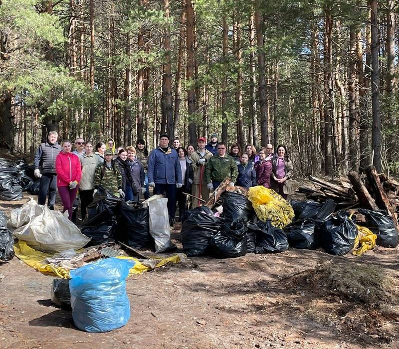 На территории Борского районного лесничества ликвидирована несанкционированная свалка