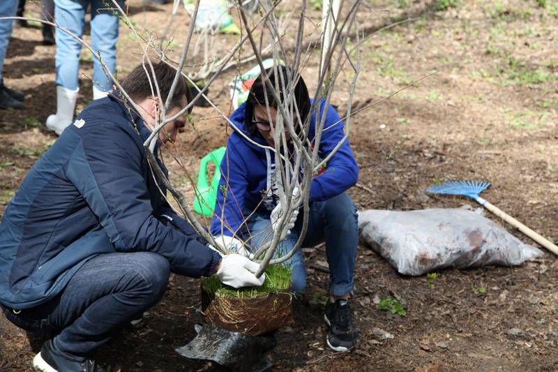 В Нижнем Новгороде высадили 15-миллионное дерево в рамках международной акции «Сад Памяти»