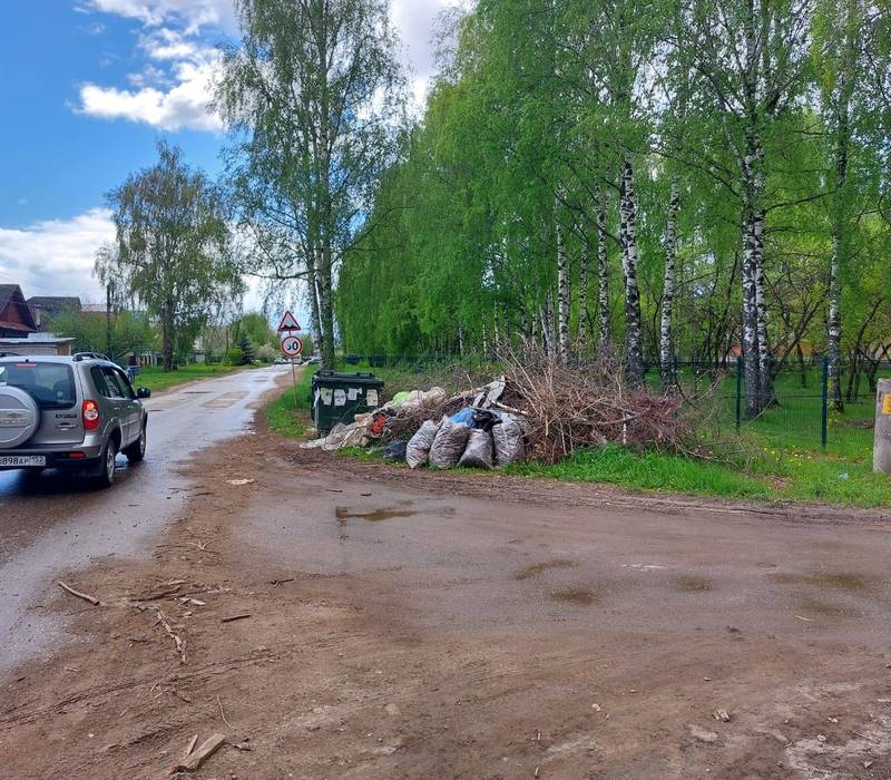 Инспекторы Борского отдела ГЖИ проверили факты вывоза мусора после субботников