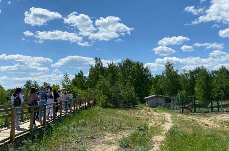 В Нижегородской области появится первое дошкольное лесничество 