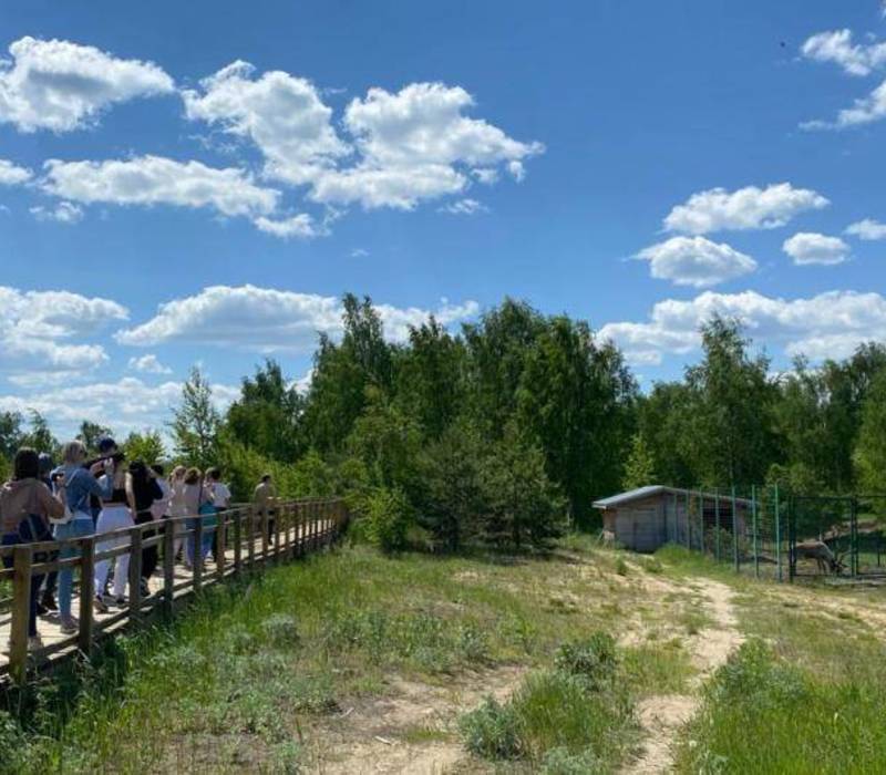В Нижегородской области появится первое дошкольное лесничество 