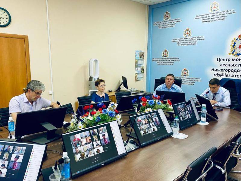 Более двух тысяч особей рыб спасено из браконьерских сетей в нижегородских водоемах в этом году