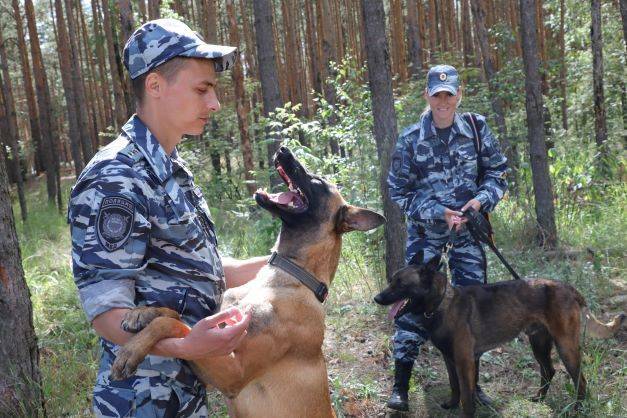 В Нижнем Новгороде прошли Всероссийские соревнования кинологов