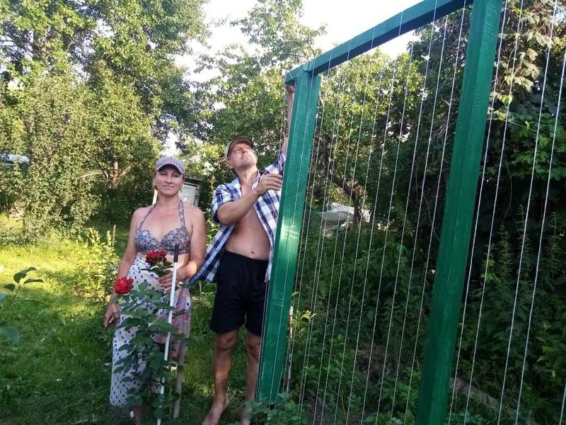 Вертикальный цветник делает сад уютней