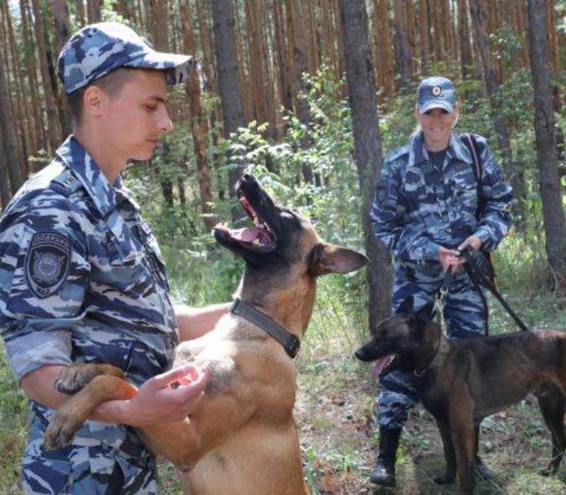 В Нижнем Новгороде прошли Всероссийские соревнования кинологов