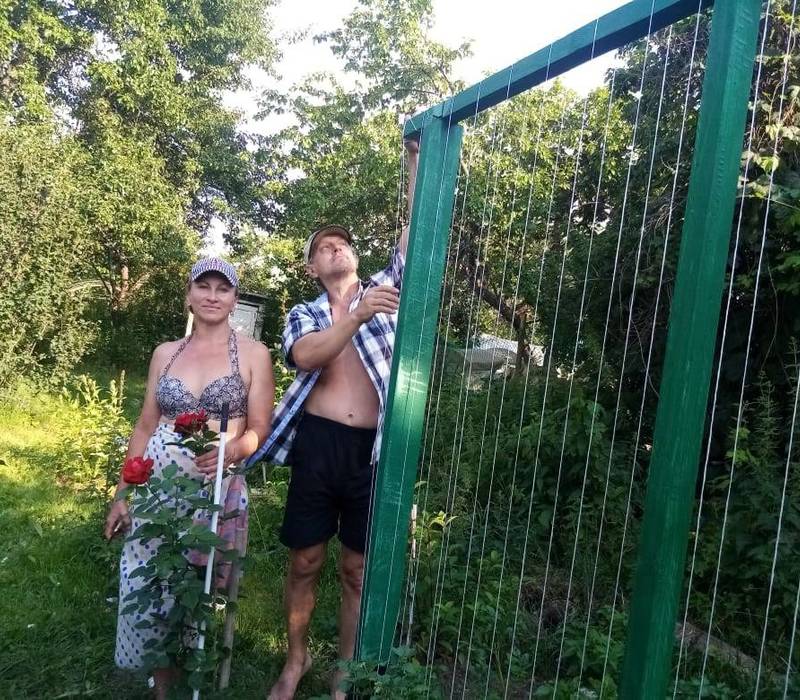 Вертикальный цветник делает сад уютней