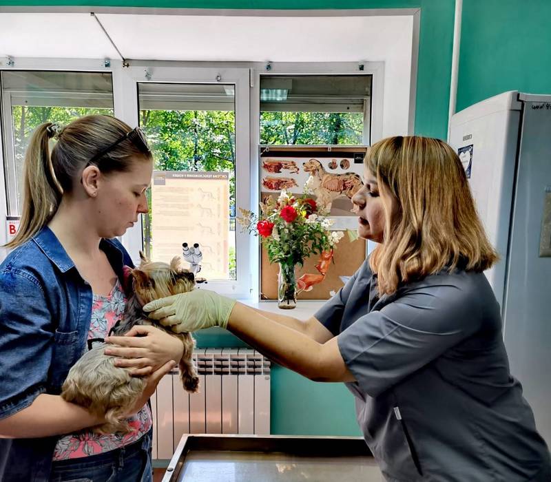 Четвертый государственный ветеринарный кабинет начал работать в Нижнем Новгороде