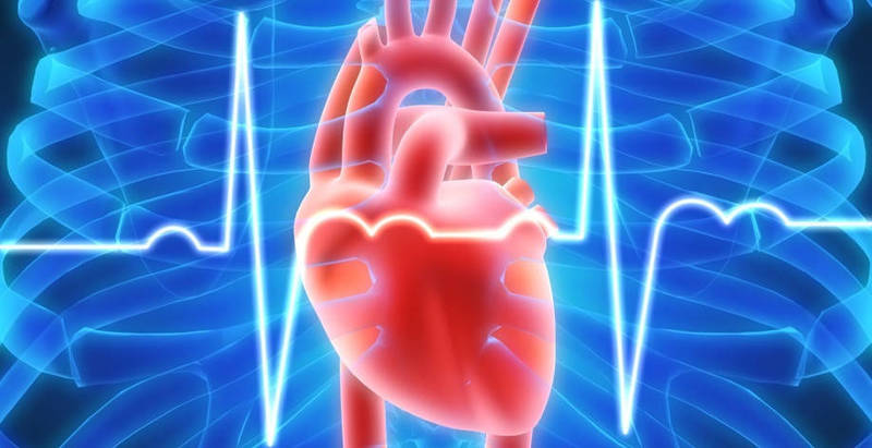 Нижегородские кардиологи дали рекомендации по сохранению здоровья в рамках празднования Всемирного дня сердца 