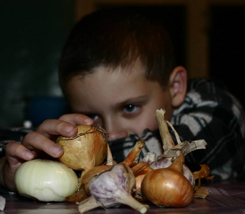 Год 2022 по старославянскому календарю посвящен этому овощу