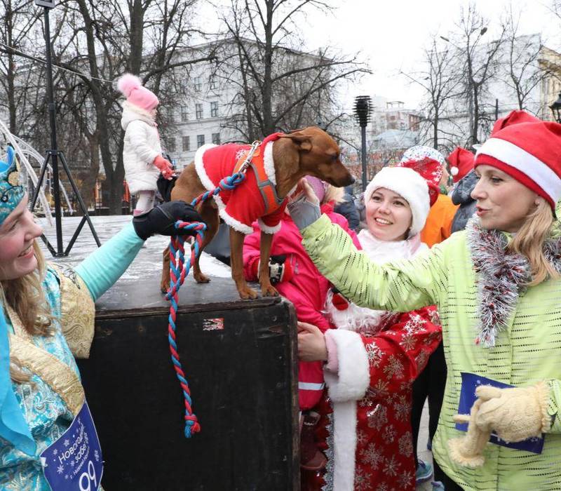 Мерзнут лапы, мерзнет хвост...