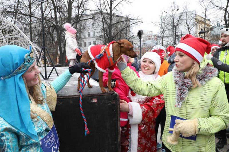 Мерзнут лапы, мерзнет хвост...