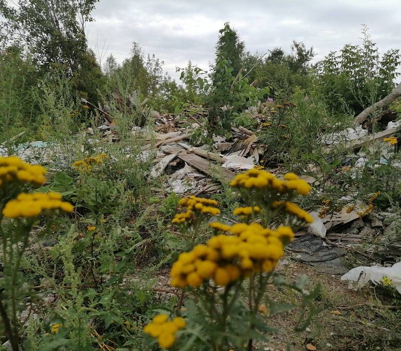 Несанкционированные свалки объёмом более 40 тысяч кубометров планируется вывезти с территории г.о.г. Дзержинск в 2022 году