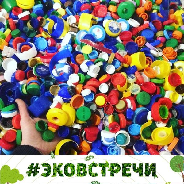 Познавательно-развлекательный проект «Эковстречи» стартует в Нижнем Новгороде
