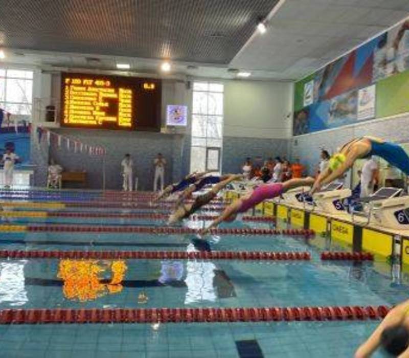Нижегородцы завоевали 11 медалей на чемпионате России по плаванию среди лиц с ПОДА