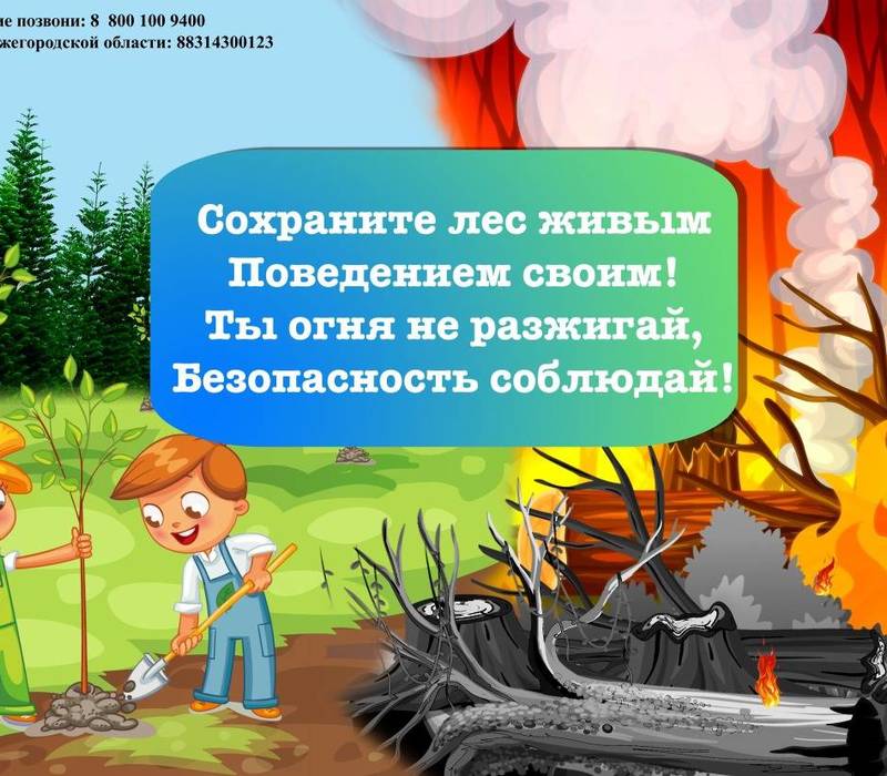 В Нижегородской области завершился региональный интернет-проект для школьников «Лес будущего»
