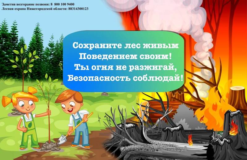 В Нижегородской области завершился региональный интернет-проект для школьников «Лес будущего»