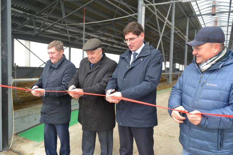 Высокотехнологичный телятник на 750 голов построил нижегородский производитель молока в Дальнеконстантиновском округе 
