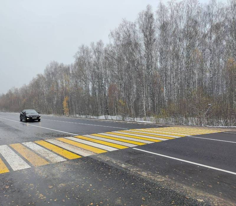 В Починковском районе Нижегородской области в 2022 году объем дорожного ремонта увеличен в 6,8 раза
