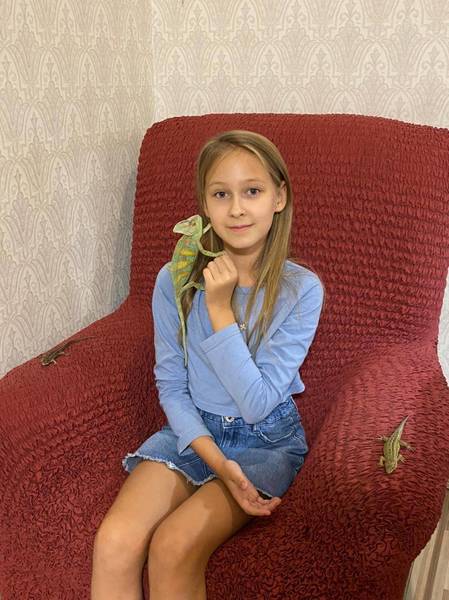 Йеменский хамелеон Гриша предпочитает саранчу