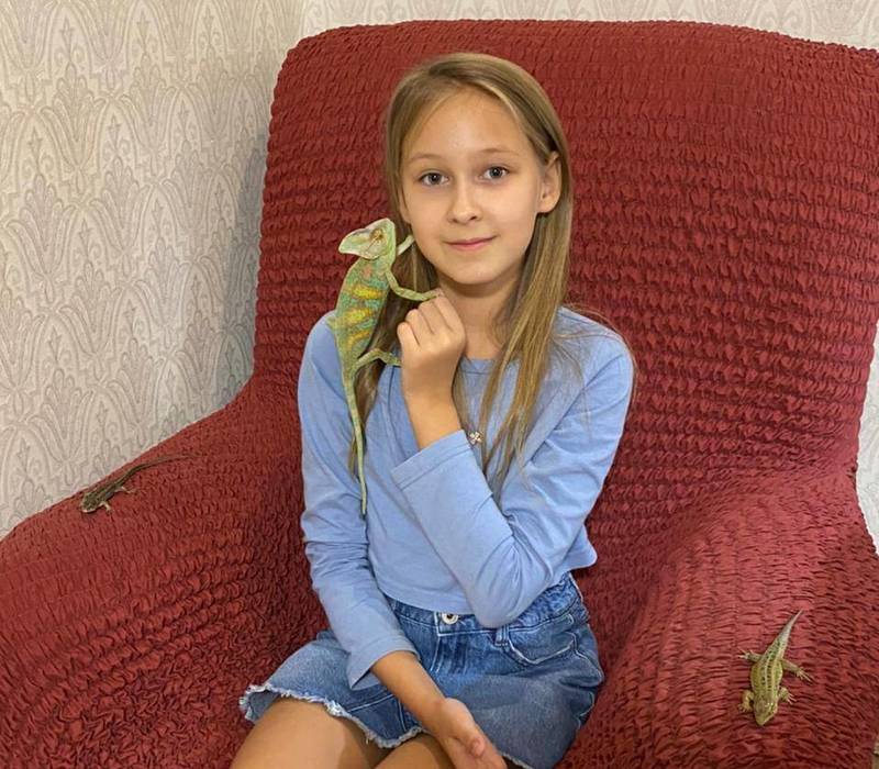 Йеменский хамелеон Гриша предпочитает саранчу