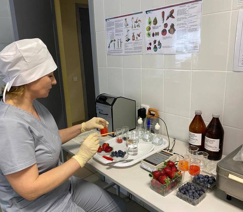 Около 600 тысяч экспертиз продуктов питания провели сотрудники госветслужбы на рынках Нижегородской области с начала 2022 года
