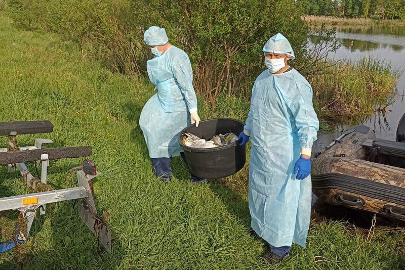 Очаг гриппа птиц купирован в Шарангском округе