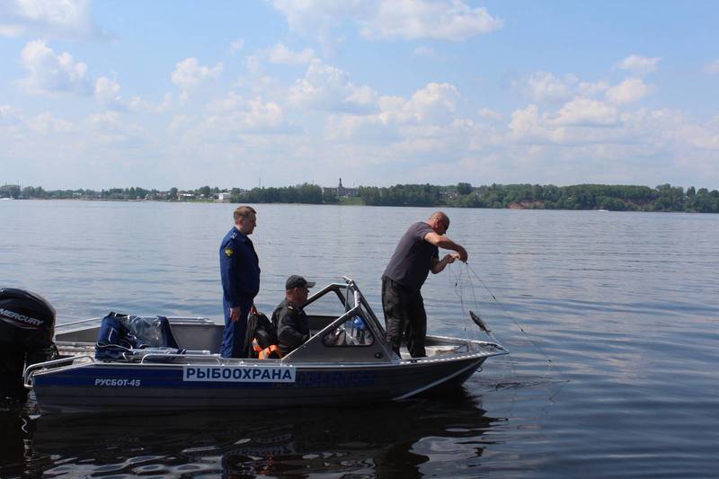 Более 50 незаконных орудий лова изъяли из Горьковского водохранилища в ходе акции «Всероссийский день без сетей»