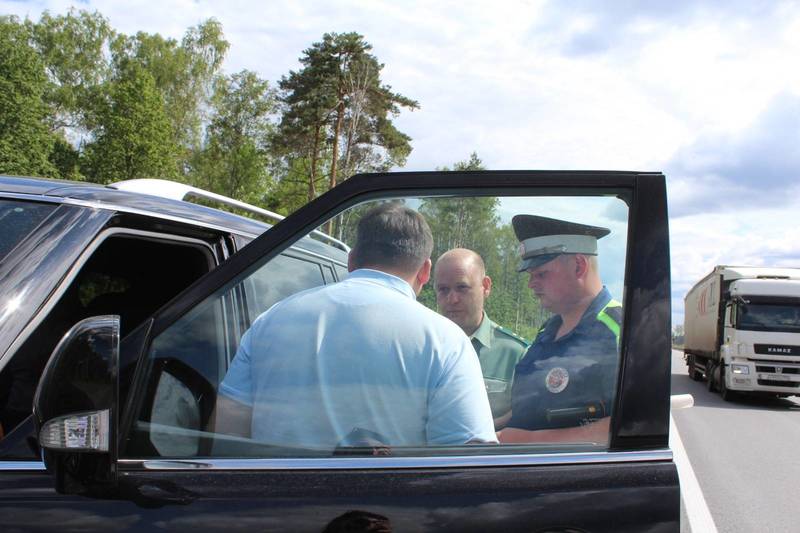 Нижегородский Минлесхоз и ГИБДД провели совместную акцию «Осторожно, дикие животные выходят на дорогу»