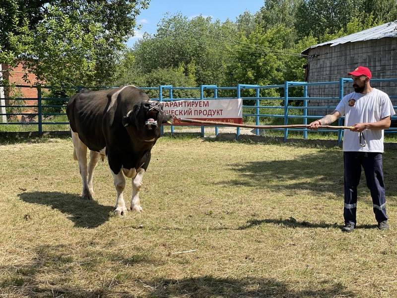 «В Нижегородской области в полной мере улучшатся показатели по разведению молочного скота», - Александр Ефремцев