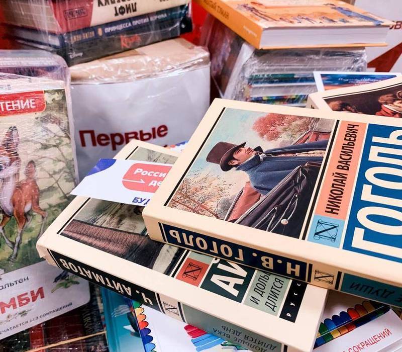 Активисты детского движения Нижегородской области собрали 3 тыс. книг для школьников из новых регионов России