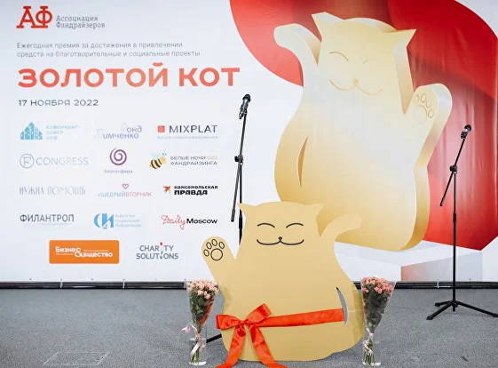 Нижегородские НКО могут выдвинуть свои благотворительные и социальные проекты на соискание премии «Золотой кот» 
