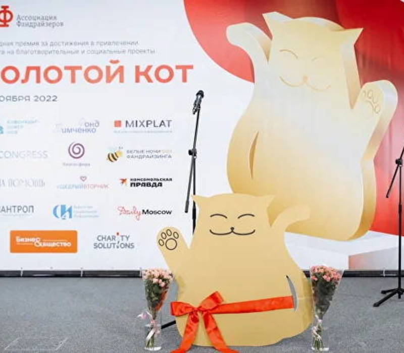 Нижегородские НКО могут выдвинуть свои благотворительные и социальные проекты на соискание премии «Золотой кот» 