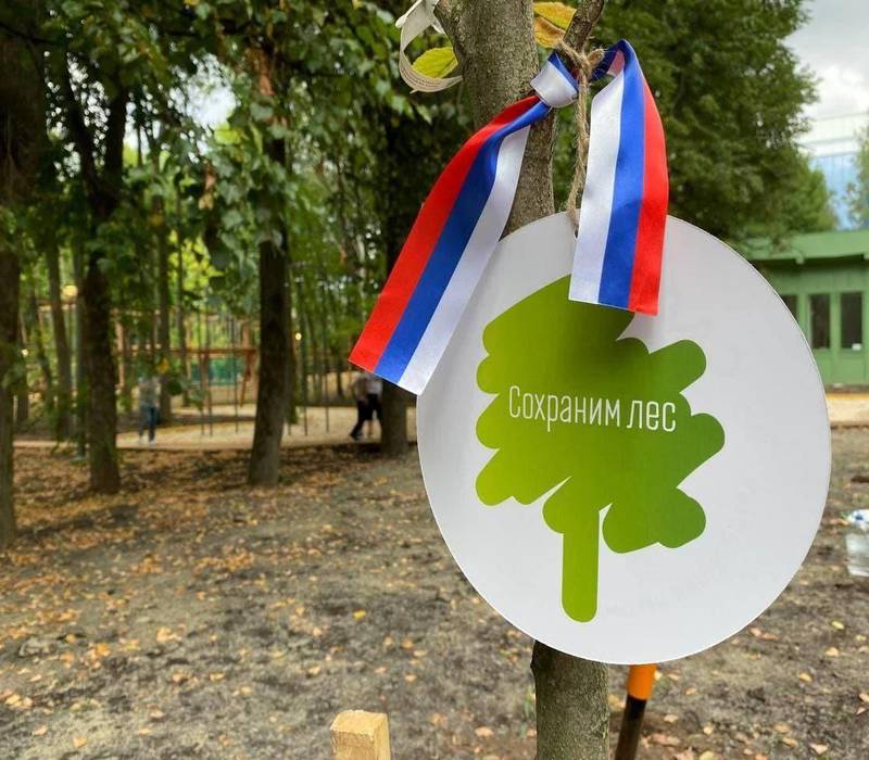 В Нижегородской области стартовала ежегодная всероссийская акция «Сохраним лес»