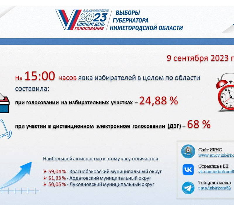 Избирком Нижегородской области обнародовал явку избирателей на 15:00
