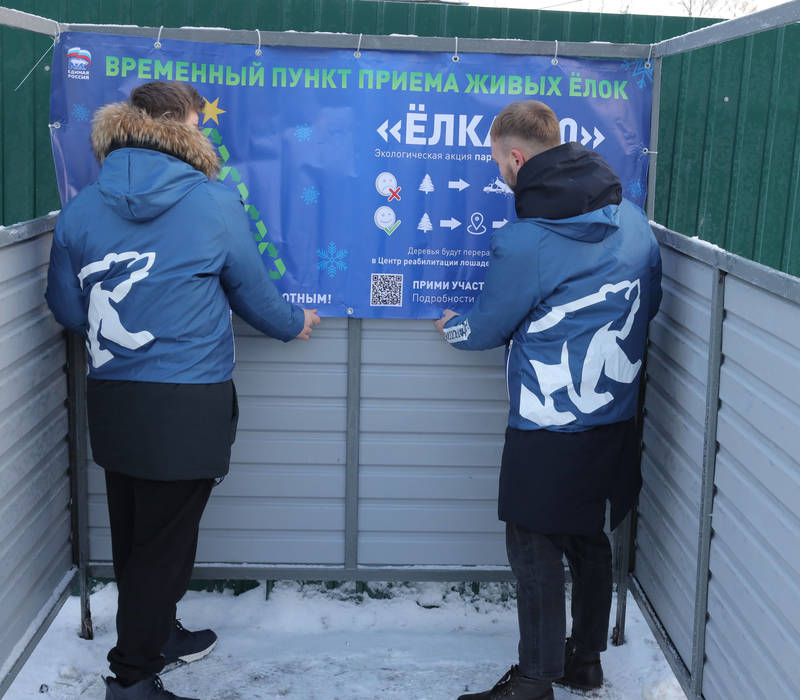 "ЁЛКА 2.0": в Нижегородской области стартовала экологическая акция по правильной утилизации живых новогодних деревьев