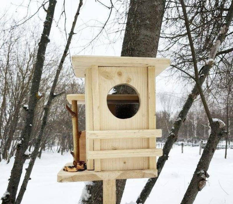 Белочкин дом