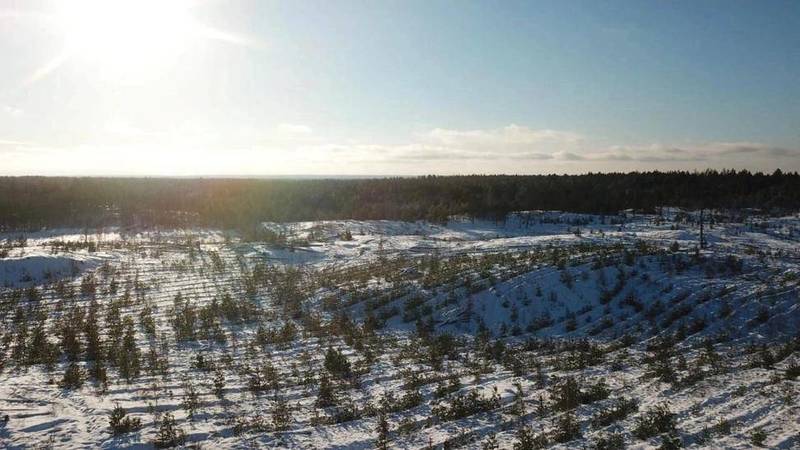 Нижегородская область вошла в топ-10 регионов страны по качеству охраны лесного фонда
