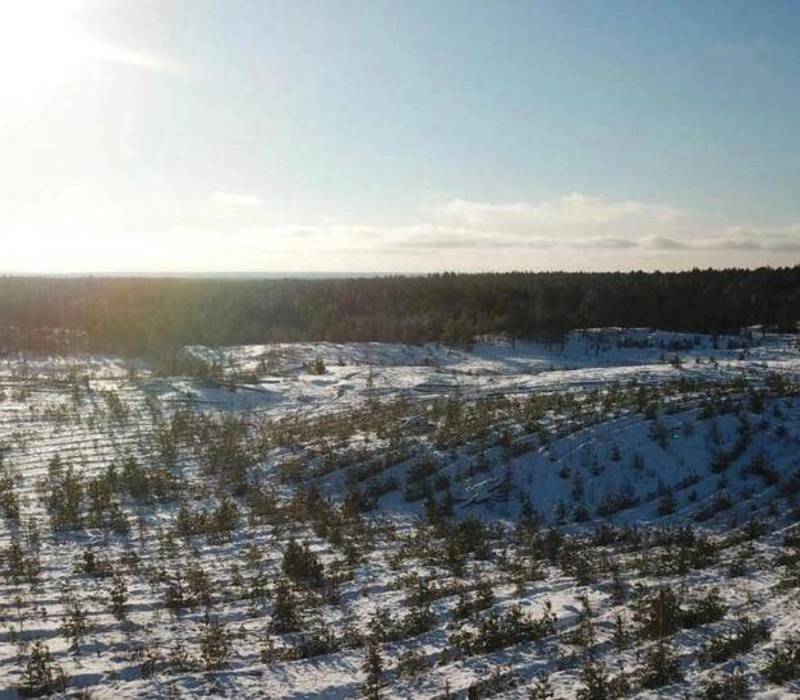 Нижегородская область вошла в топ-10 регионов страны по качеству охраны лесного фонда