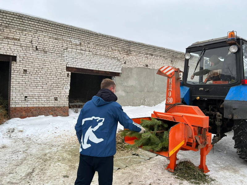 Древесную щепу, переработанную из новогодних живых елей, передали в центр реабилитации лошадей 