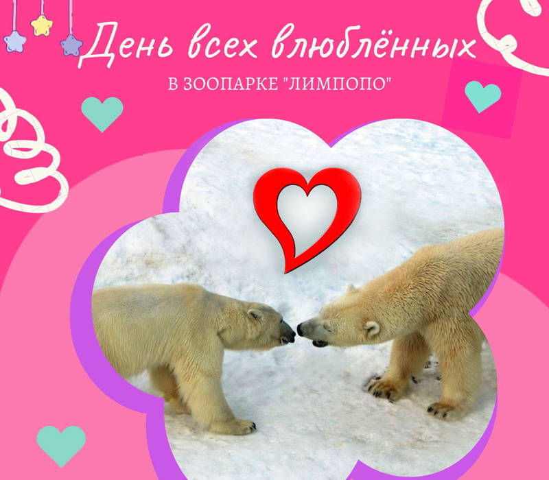 Акцию «Счастливый билет для влюбленных» проведет зоопарк «Лимпопо» 14 февраля