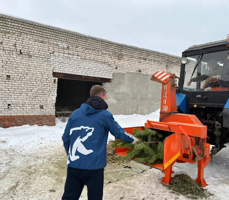 Древесную щепу, переработанную из новогодних живых елей, передали в центр реабилитации лошадей 