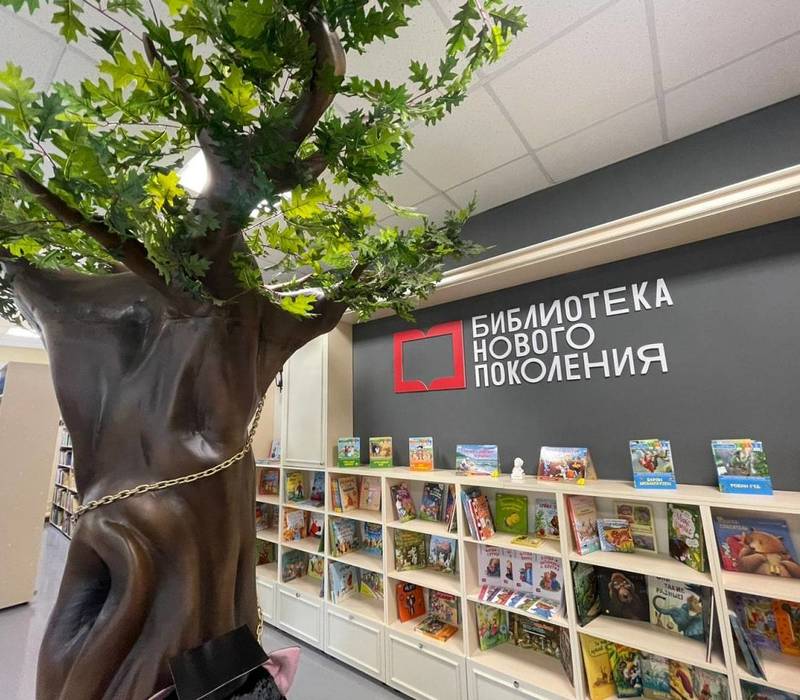 В Нижегородской области модельные библиотеки присоединились к общероссийской акции «Дарите книги с любовью»