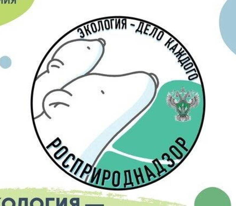 Нижегородские школьники и студенты могут представить свои проекты на международную премию «Экология – дело каждого»