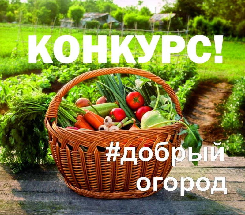 Нижегородцы могут принять участие во Всероссийском проекте «Добрый огород»