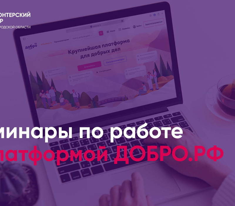 Более 650 руководителей и координаторов добровольческой деятельности региона обучились основам работы с сервисами платформы «ДОБРО.РФ» 
